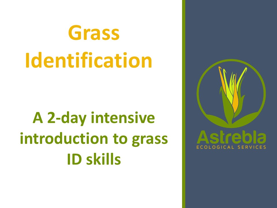 Astrebla Grass Identification Skills Workshop